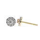 ER-20