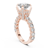 Princess Cut Hidden Halo Ring