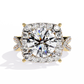 Cushion Cut Butterfly Halo Engagement Ring